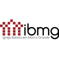 iBMG Logo PNG Vector