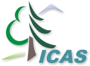 ICAS Logo PNG Vector
