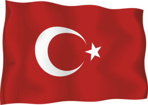 Illustrated Turkish Flag Logo PNG Vector