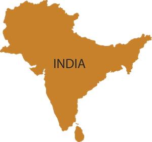 INDIA MAP Logo Vector