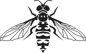 Insect Logo PNG Vector