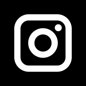 Vector instagram logo white