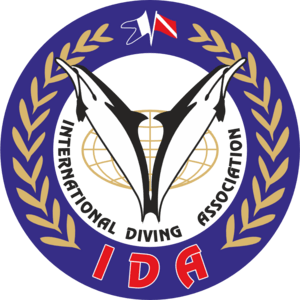 International Divind Assosiation IDA Logo PNG Vector
