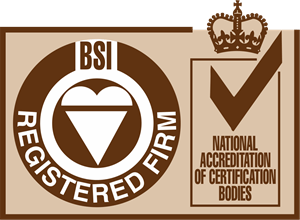 ISO BSI Registered Firm Logo PNG Vector