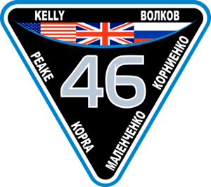 ISS Expedition 46 Logo PNG Vector