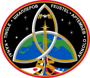 ISS Expedition 55 Logo PNG Vector