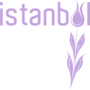 Istanbul Logo PNG Vector