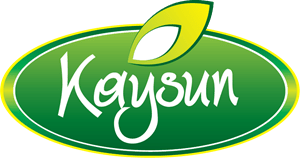 Kaysun Logo PNG Vector