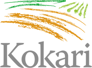 Kokari Logo PNG Vector