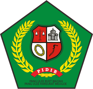 Kabupaten Pidie Logo PNG Vector