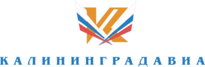 Kaliningrad avia Logo PNG Vector