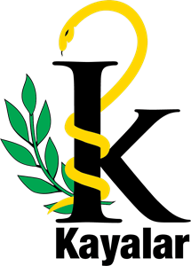 Kayalar Eczanesi Logo Vector