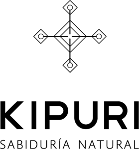 KIPURI Logo PNG Vector