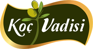Koç Vadisi // Olive Oil Logo Vector