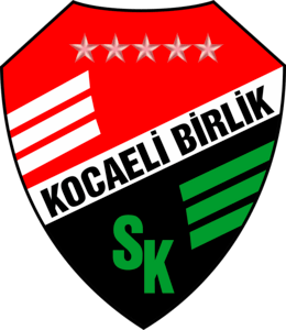 Kocaeli Birlikspor Logo Vector