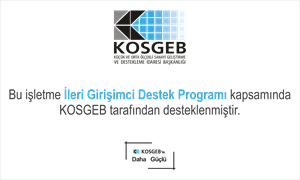 Kosgeb Logo Vector