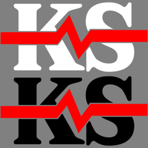 KS Alto-Falantes Logo PNG Vector