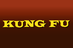 Kung Fu Logo PNG Vector