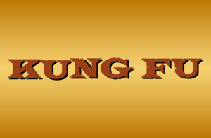 Kung Fu Logo PNG Vector