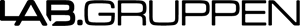 Lab Gruppen Logo PNG Vector