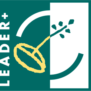 Leader + Logo Vector