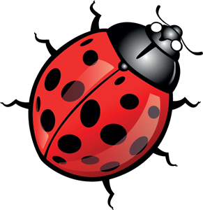 Ladybug Logo PNG Vector