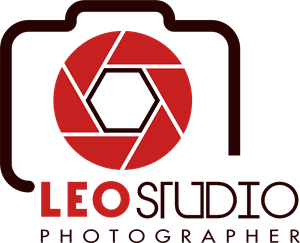 leo studio photographer Logo Vector AI Free Download