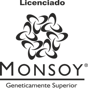 Licenciado Monsoy Logo PNG Vector