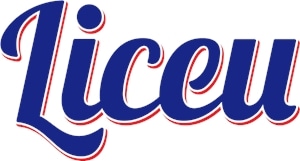 Liceu de Ensino Logo Vector