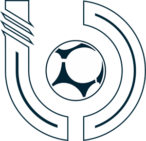 Liga Diamantina de Fútbol Entre Ríos Logo PNG Vector