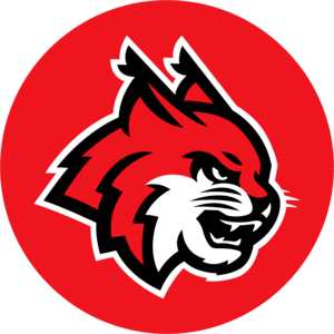 LINCE Logo PNG Vector