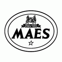Maes Logo PNG Vector