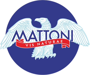 Mattoni Logo PNG Vector