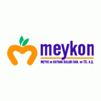 Meykon Logo PNG Vector