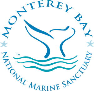 Monterey Bay Logo Vector