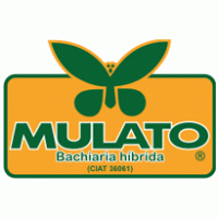 Mulato Logo PNG Vector