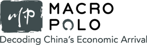 Macro Polo Logo PNG Vector