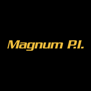 Magnun P.I. Logo PNG Vector