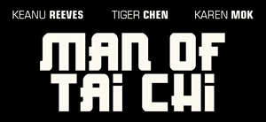 Man of Tai Chi Logo Vector