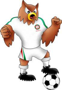 Mascote do Ituiutaba Esporte Clube - Coruja Logo PNG Vector