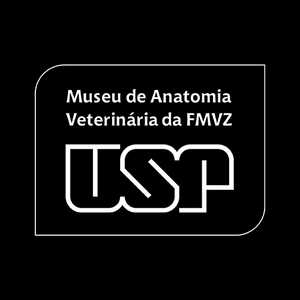 MAV-USP Logo PNG Vector