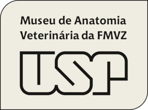 MAV-USP Logo PNG Vector