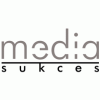 media sukces Logo Vector