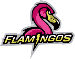 Miami Flamingos Logo PNG Vector