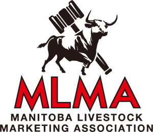 MLMA Logo Vector