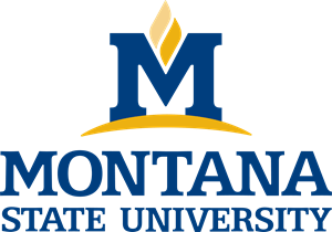 Montana State University Logo PNG Vector