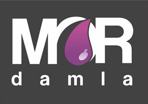 Mor Damla Internet Software Logo Vector