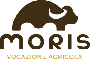 Moris Vocazione Agricola Logo PNG Vector