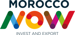 Morocco Now Logo Vector