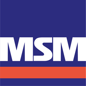MSM Group LLC Logo PNG Vector